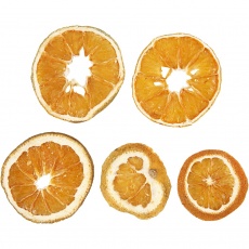 Orangenscheiben, D 40-60 mm, 1x5Stk/ 1 Pck