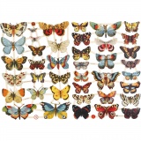 Vintage-Glanzbilder, Schmetterlinge, 16,5x23,5 cm, 1x2Bl./ 1 Pck