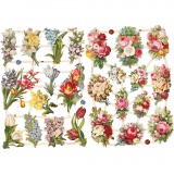 Vintage-Glanzbilder, Frühlingsblumen, 16,5x23,5 cm, 2 Bl./ 1 Pck