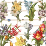 Vintage-Glanzbilder, Frühlingsblumen, 16,5x23,5 cm, 1x2Bl./ 1 Pck