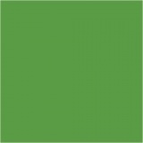 Plus Color Bastelfarbe, Hellgrün, 1x250ml/ 1 Fl.