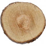 Holzscheiben - Sortiment, D 7-10 mm, Dicke 4-5 mm, 1x230g/ 1 Pck