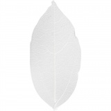 Laubblätter, L 6-8 cm, Weiß, 1x20Stk/ 1 Pck